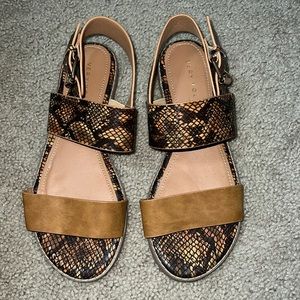 BRAND NEW SANDALS!! never worn. Size 8 women’s